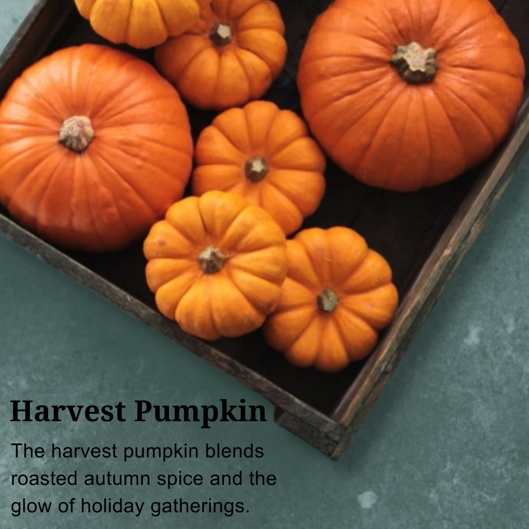 Pumpkin Spice Latte (Limited Edition)