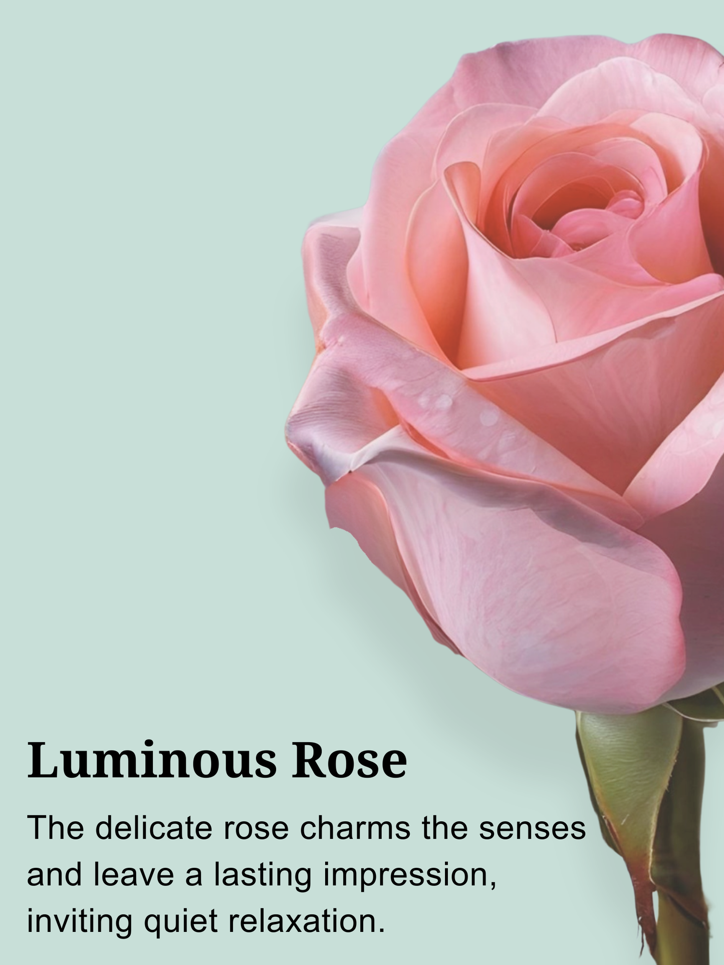 à la mod-endo rosé